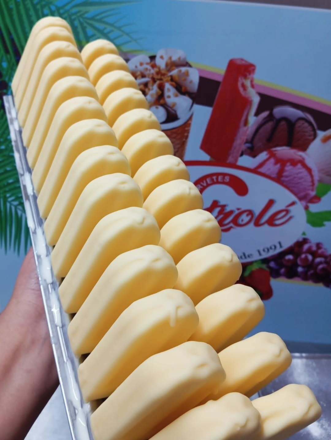 instasave.website_540894737_17919658146151220_7880070993957726031_n